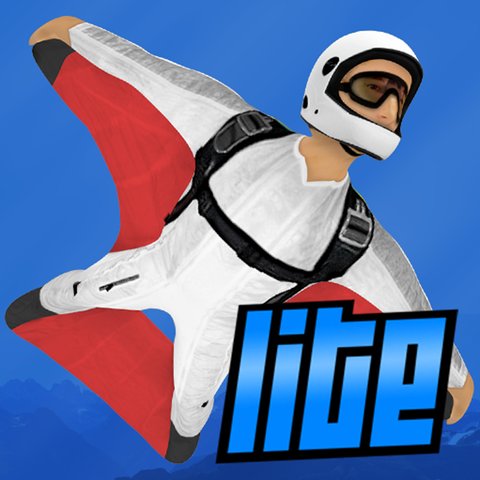 Wingsuit